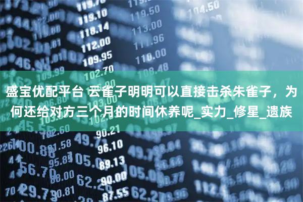 盛宝优配平台 云雀子明明可以直接击杀朱雀子,为何还给对方三个月的时间休养呢_实力_修星_遗族