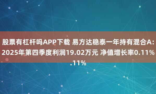 股票有杠杆吗APP下载 易方达稳泰一年持有混合A：2025年第四季度利润19.02万元 净值增长率0.11%