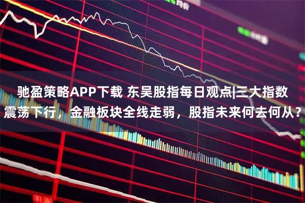 驰盈策略APP下载 东吴股指每日观点|三大指数震荡下行，金融板块全线走弱，股指未来何去何从？